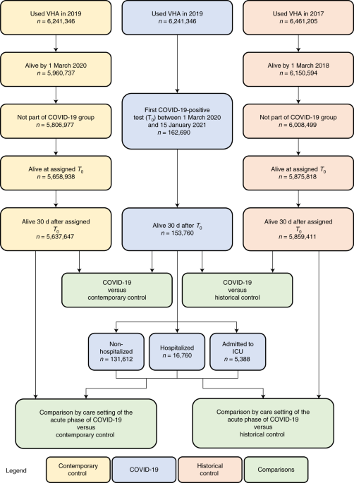 New Guidelines Explain How to Manage Post-COVID Heart Problems